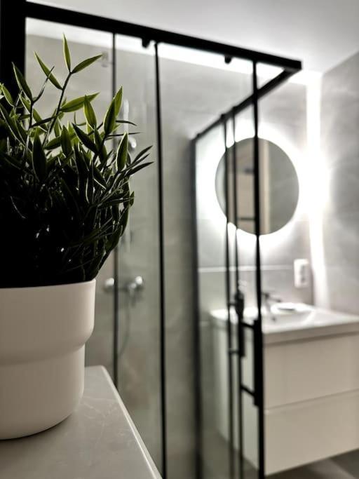 Wolfie Apartment, Center